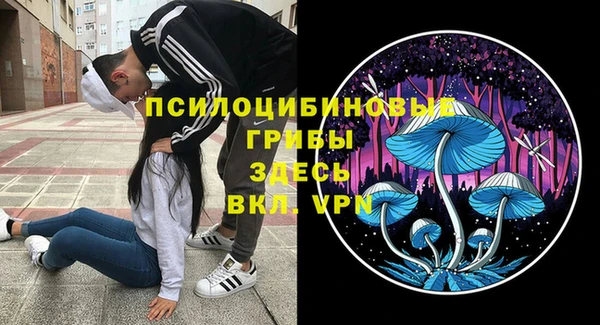 spice Абинск