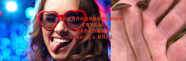 амф Абаза