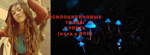 PSILOCYBIN Алексеевка