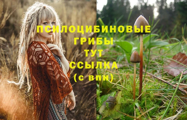 spice Абинск