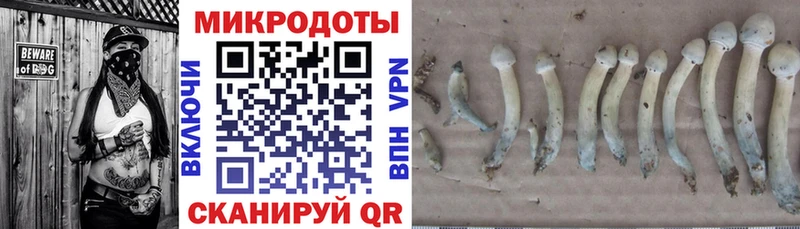 наркошоп  Кизилюрт  Галлюциногенные грибы прущие грибы 
