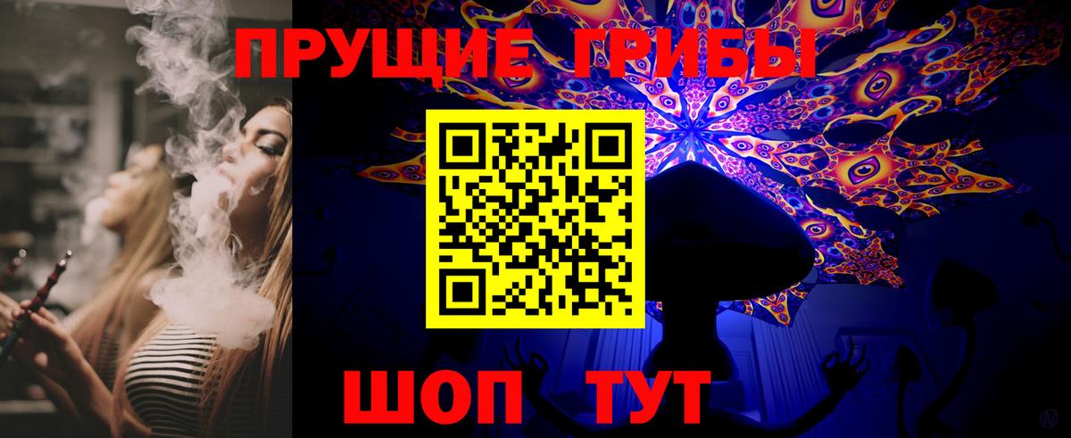 Псилоцибиновые грибы Cubensis Кизилюрт
